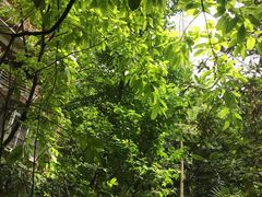 -麻辣空间·清油火锅(水井沟店)
