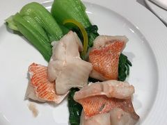 -歌诗达邮轮(宝杨路码头)