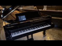 -海南清水湾莱佛士酒店