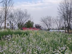 -苏州上方山国家森林公园