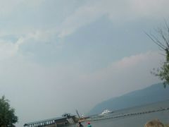 -才村湿地公园