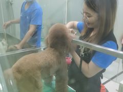 -博特宠物医院24h犬猫全科.骨科·异宠