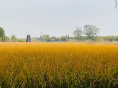 -长兴太湖图影湿地文化园