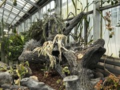 -国家植物园南园