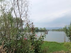 -三岔湖高家庄农家乐烤全羊柴火鸡翘壳鱼(三岔湖店)