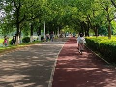 -艾溪湖湿地公园