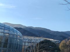 -北京植物园-展览温室