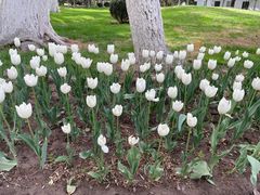 -西宁市人民公园(城西区)