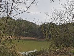 -青龙山国家森林公园