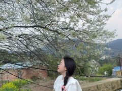 -名花谷生态庄园