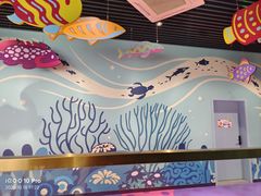 -海合安成都极地海洋公园