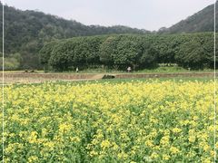 -八卦田遗址公园