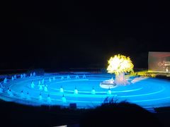 -鼎盛王朝康熙大典实景演出