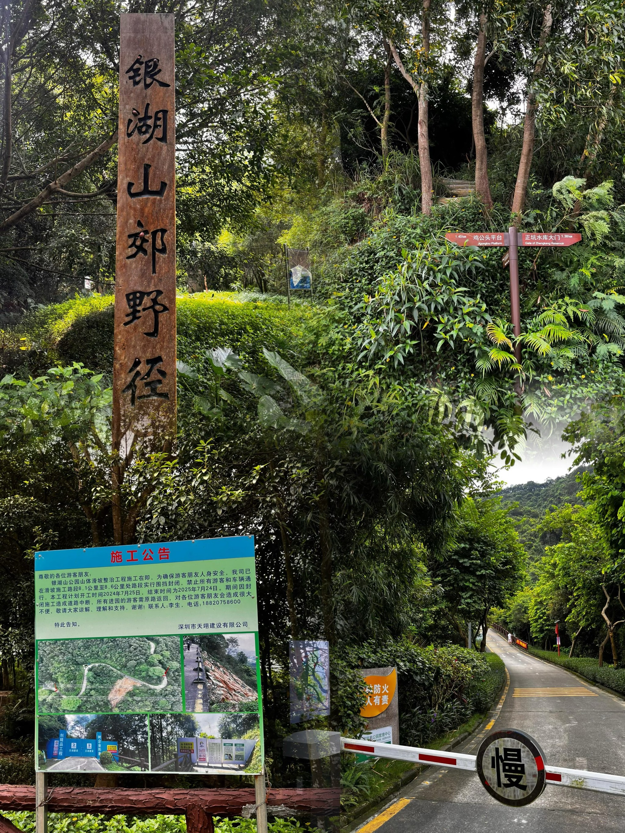 银湖山郊野公园图片图片