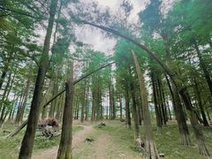 -四明湖
