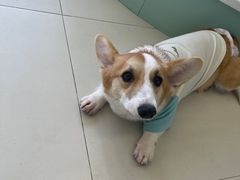 -怪兽屋·羊驼·猫咖·狗咖(俊华广场店)