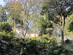 -深圳仙湖植物园
