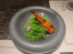 黑松露傍林鲜-觀芷隐轩