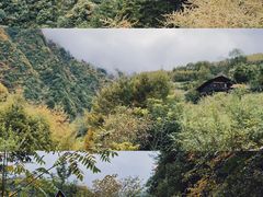 -卧龙自然保护区