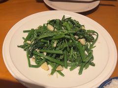 -山茶云南菜(中关村店)