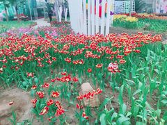 -石家庄市植物园