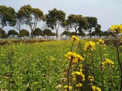 -上海多利农业发展有限公司