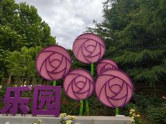 -大望京公园