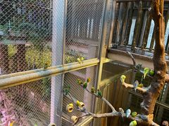 -正佳雨林生态植物园