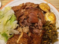 -瑞霖·隆江猪脚饭