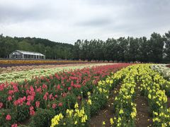 -富田农场