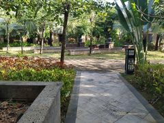 -三亚珠江南田温泉度假区