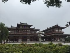 iphone_upload_pic-西安乐游原