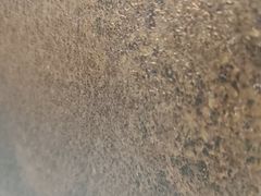 -阿尔丁植物园