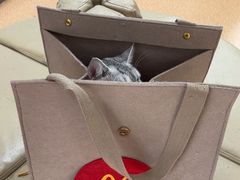 -宠颐生中康贝怡动物医院