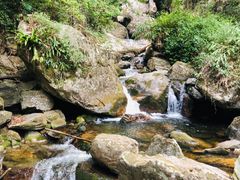 -高黎贡山自然公园