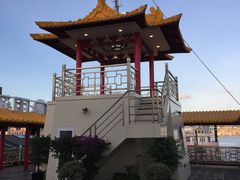-新龙船黄浦江餐饮游船官方自营店