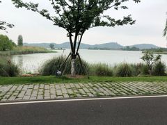 -东湖落雁景区