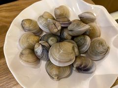 蛤蜊-吉友粥底火锅(方斜路店)