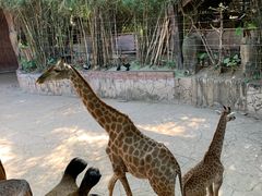 -长鹿旅游休博园