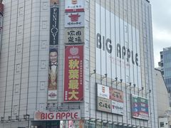 -秋叶原电器街