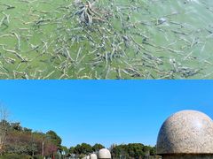 -院士公园