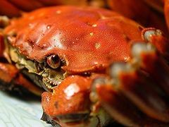 -索菲特西湖大酒店·香榭丽全日候餐厅(南山路店)