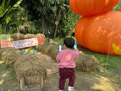 -HERRE·FARM 赫尔露营农场·团建聚会包场