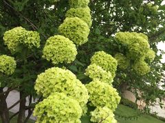 景点-吴江公园