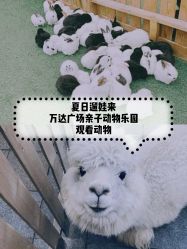 -萌宠亲子动物乐园(槐房万达店)