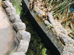 -勐丽梦兰傣味餐厅