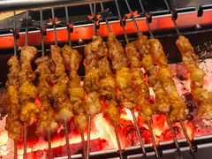 呼伦贝尔羊肉串-很久以前羊肉串(簋街店)