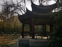 -莲湖公园