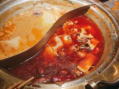 -熊喵来了火锅(四平万达第56分店)