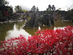 -千岛湖石林